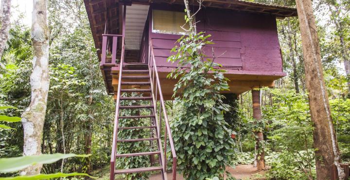 Sunbird Garden Resort Krishnagiri Bagian luar foto